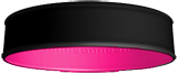 Black/Pink - BB