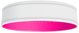 White/Pink - BB